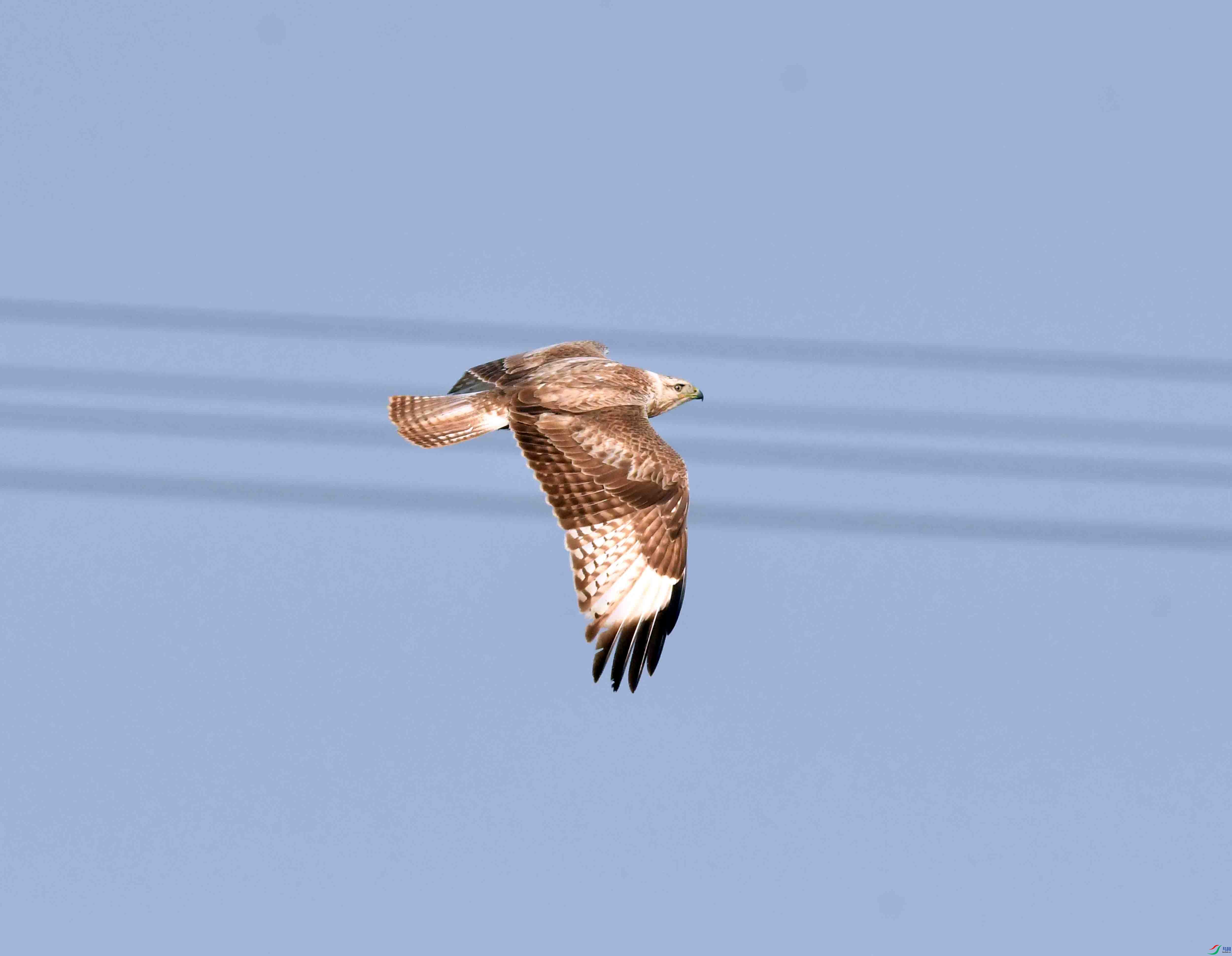DSC_6191.JPG
