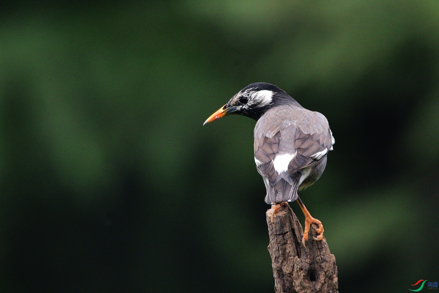 DSC_1058.JPG