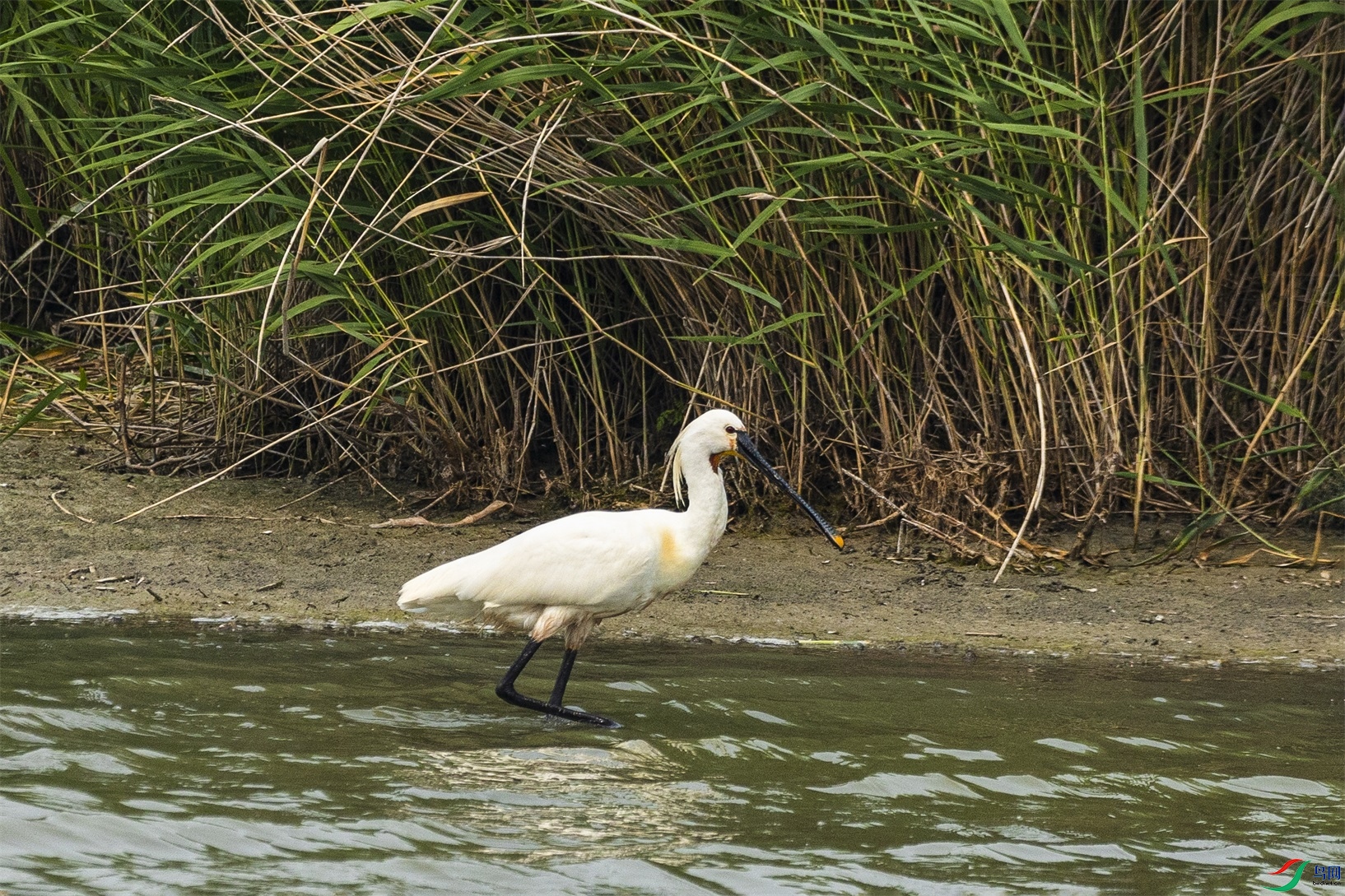 1K3A9829 ����1.jpg