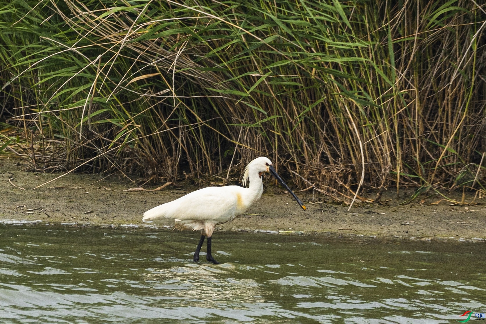 1K3A9832 ����1.jpg