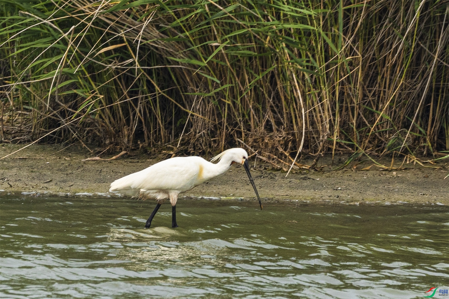 1K3A9835 ����1.jpg