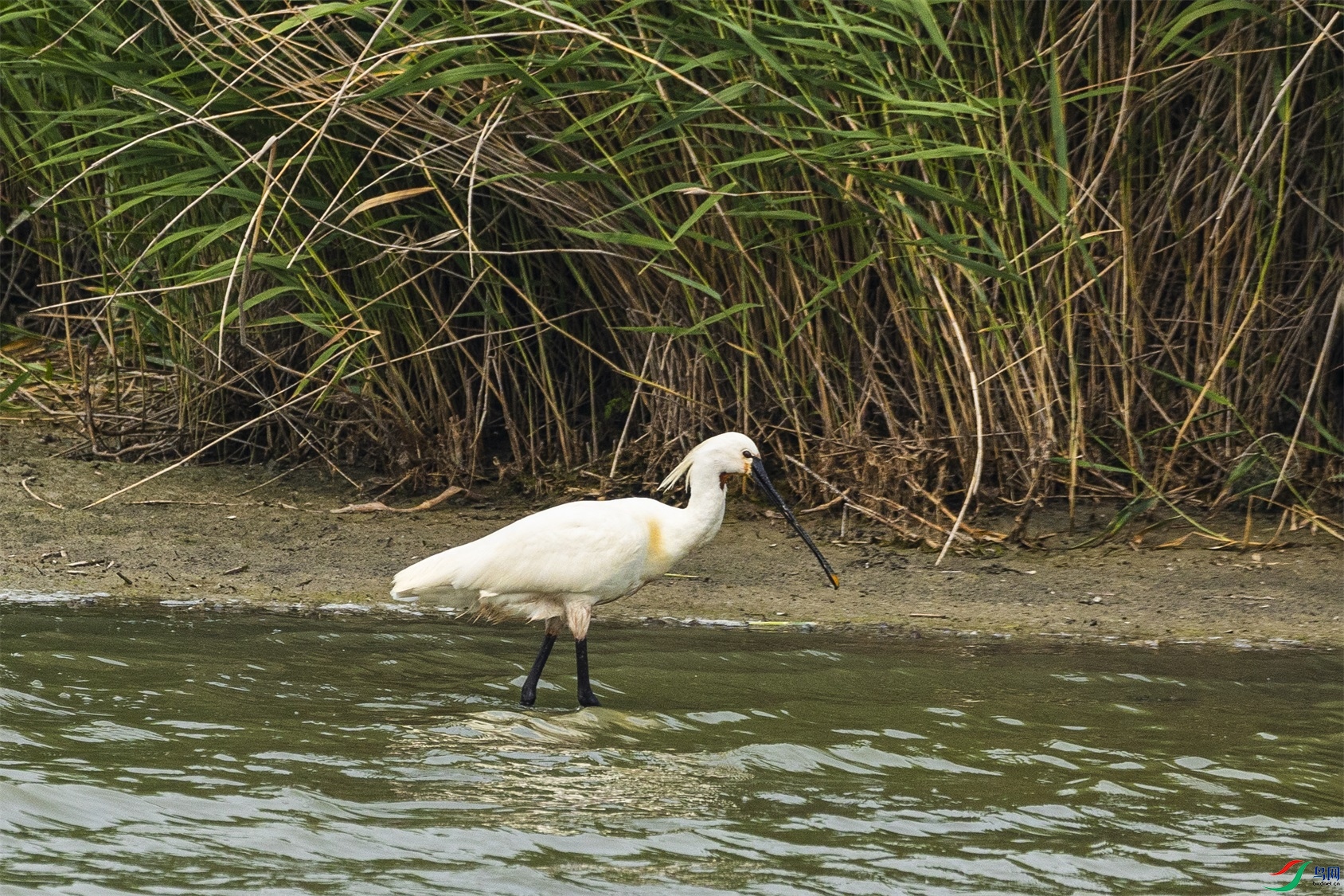 1K3A9833 ����1.jpg