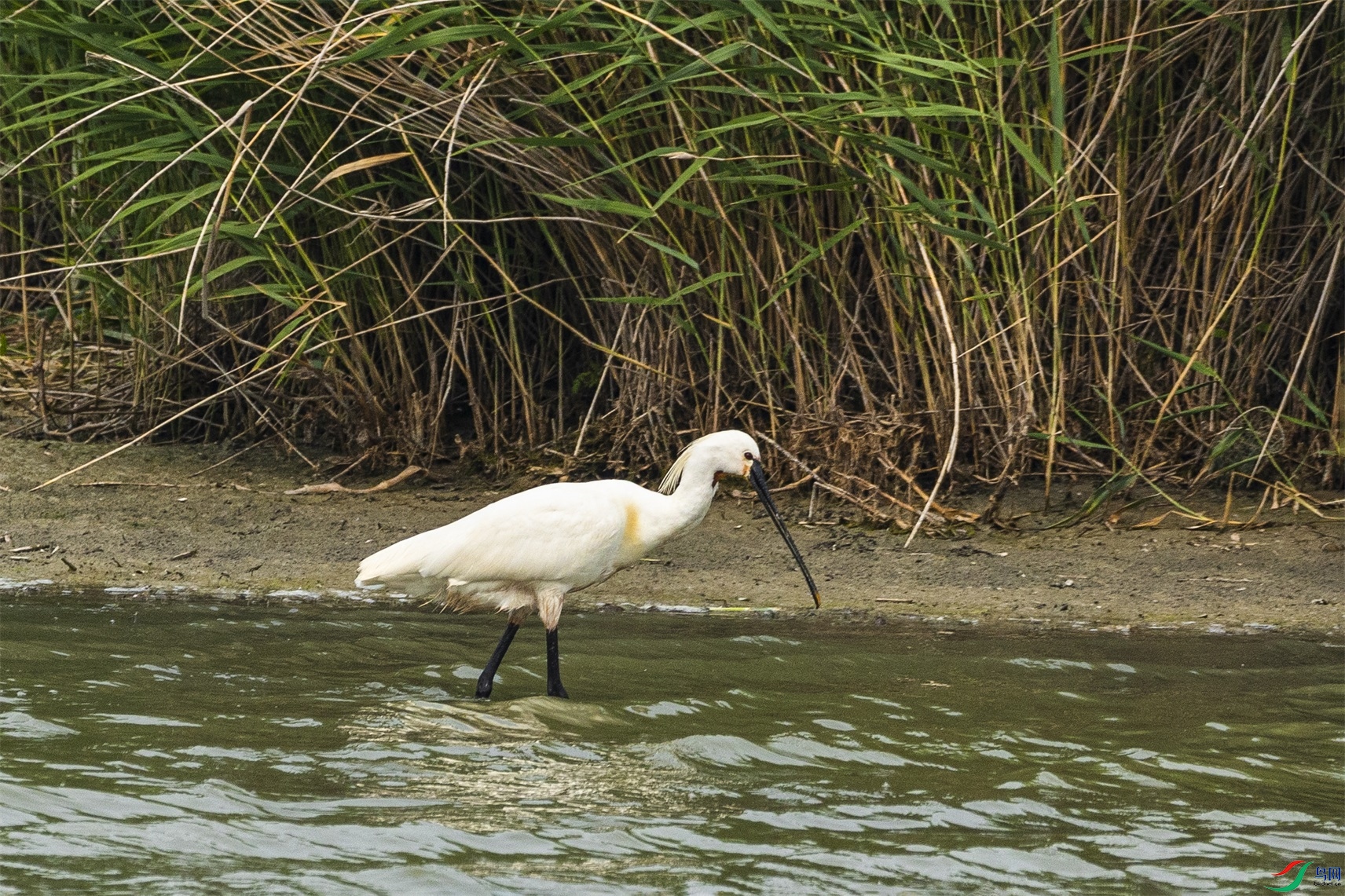 1K3A9834 ����1.jpg