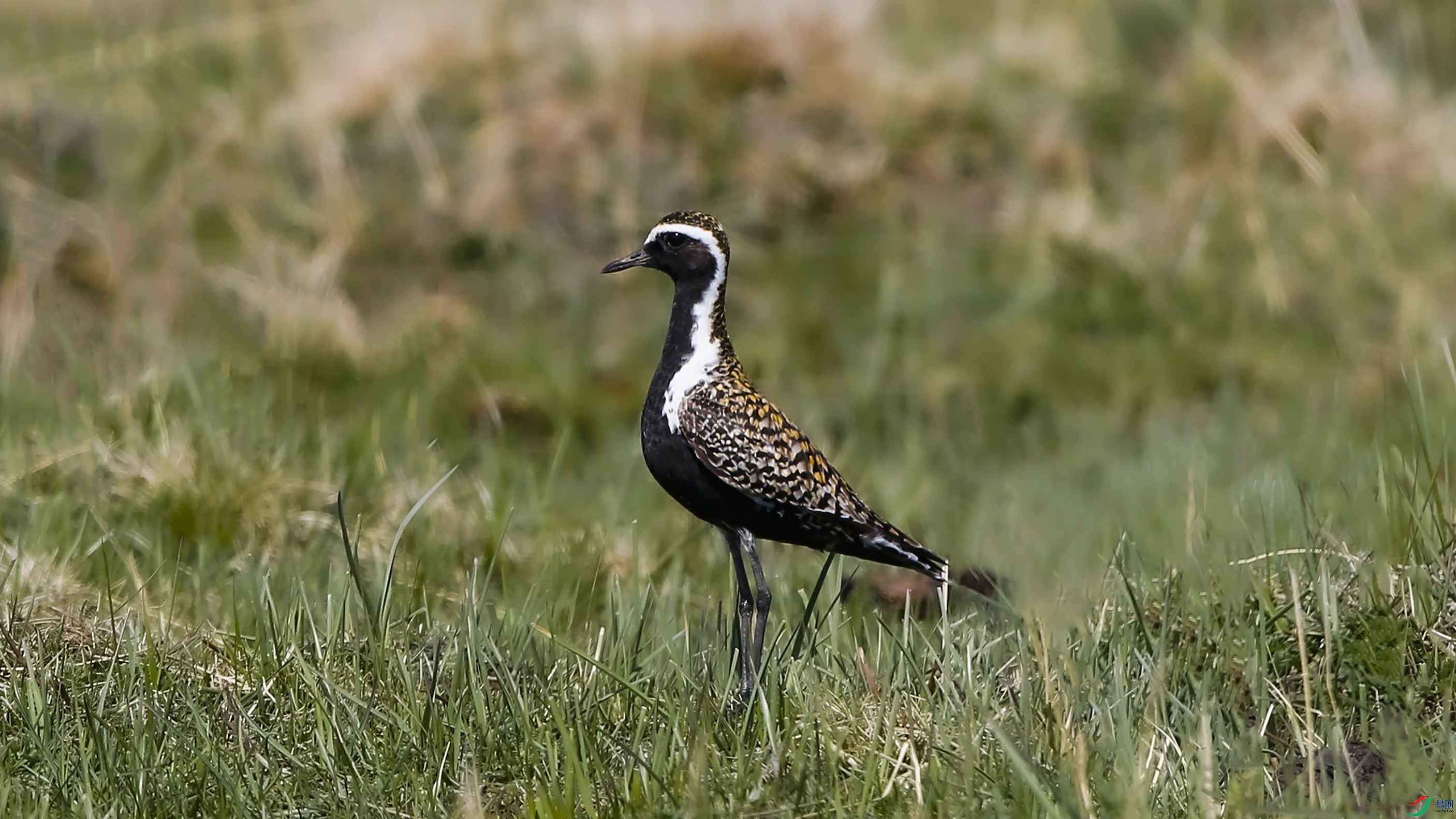 000301 ����111.jpg