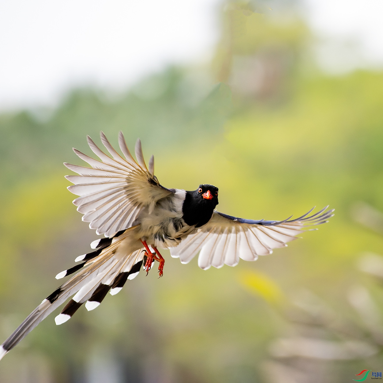 DSC_5278-1.jpg