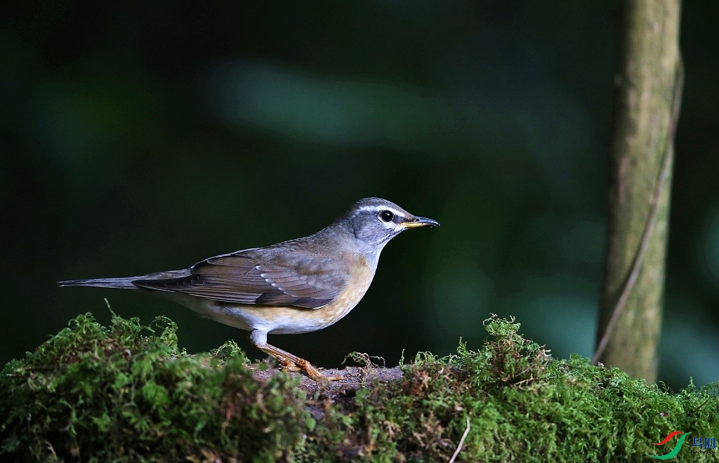 ���� IMGL9222.JPG