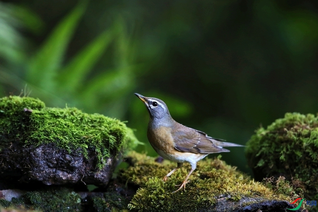 ���� IMGL9259.JPG