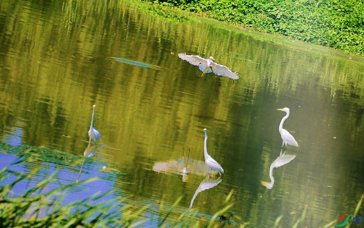 300 (85)_����.jpg