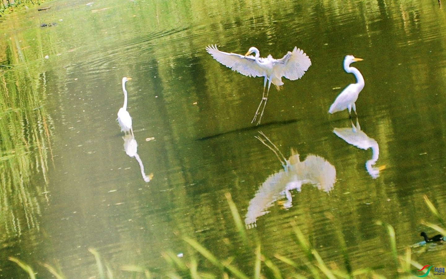 300 (87)_����.jpg