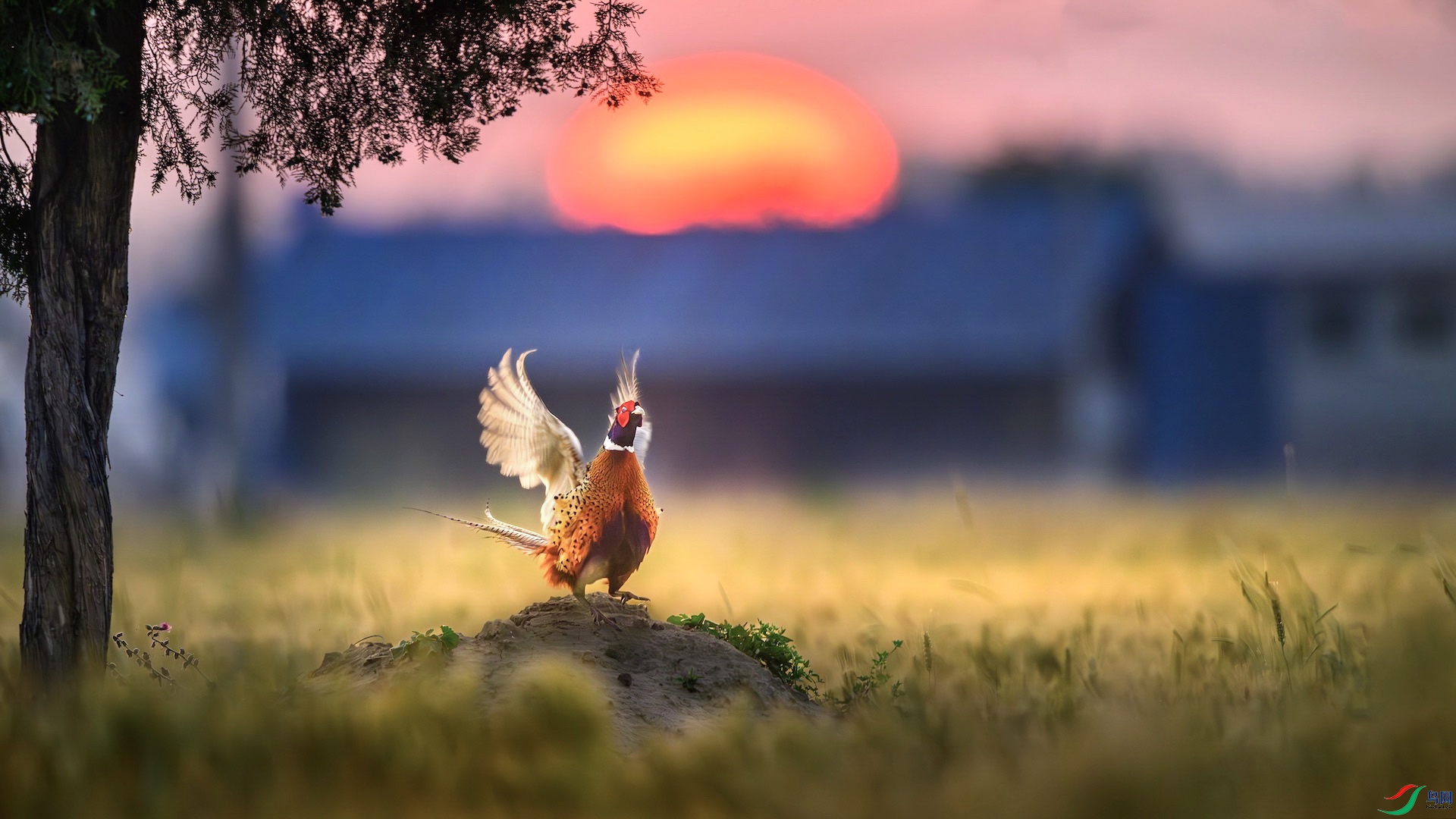 5_DSC9063-����ǿ-NR ���� 2 2 .jpg