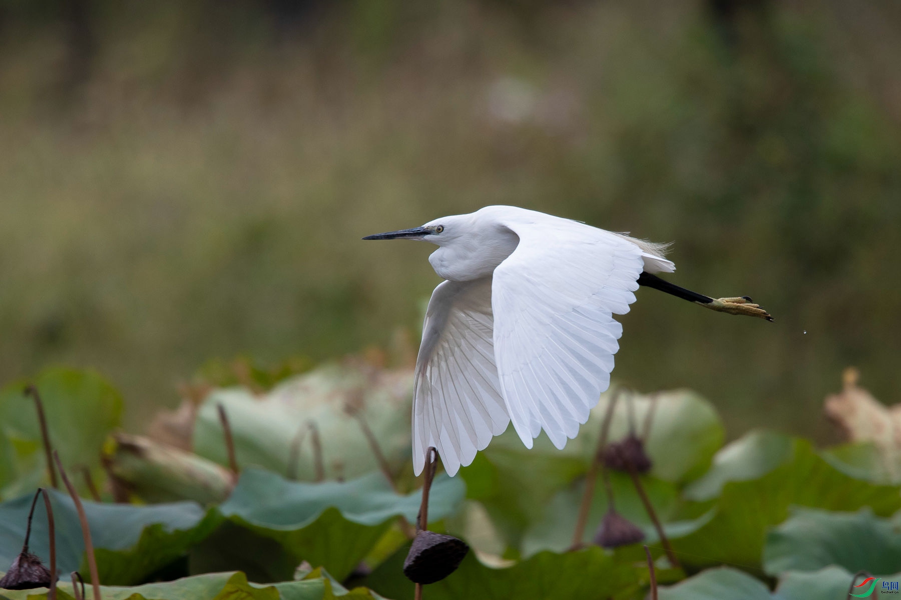 ��������1