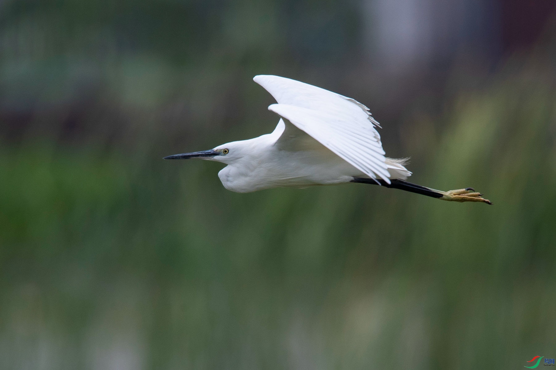 ��������6