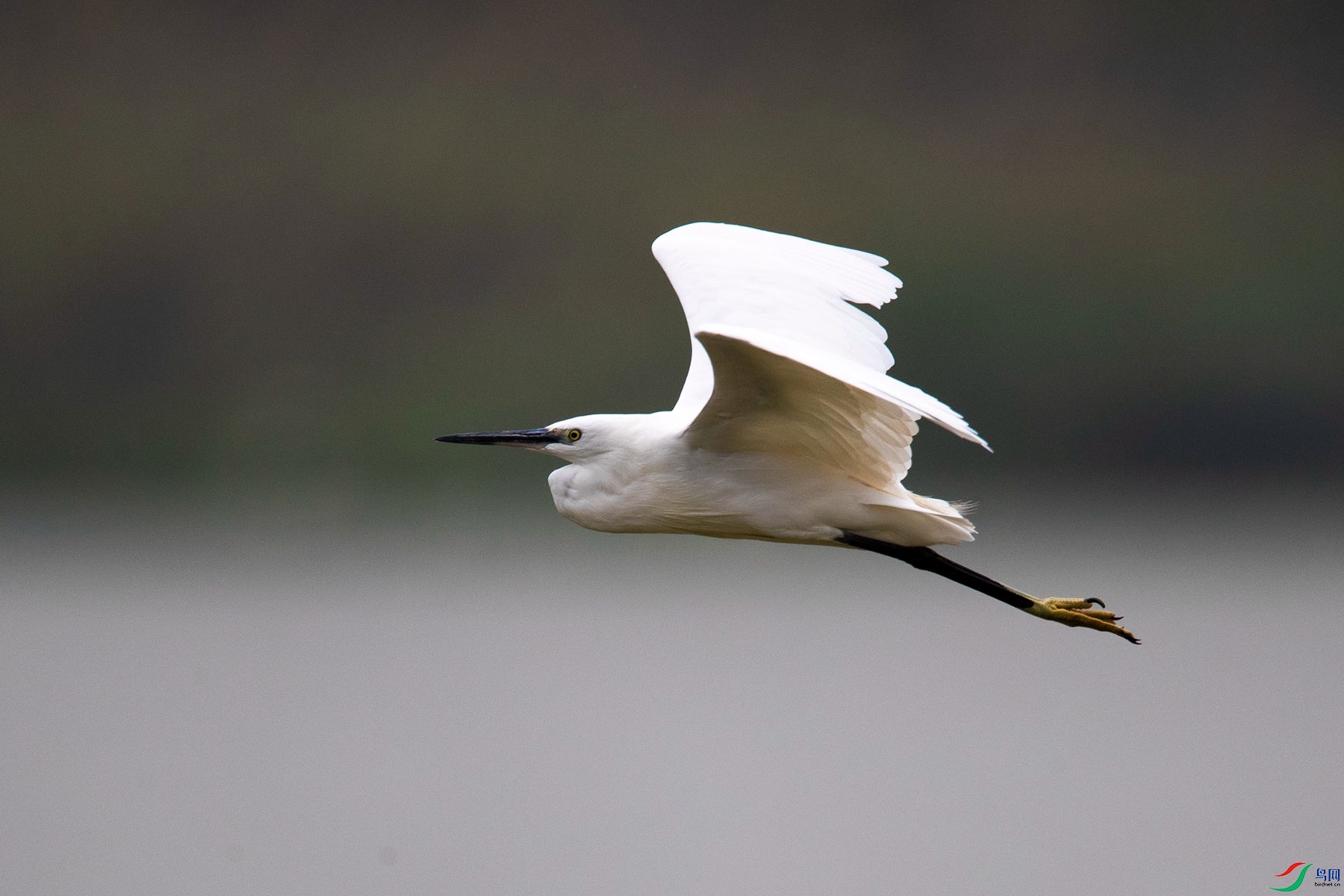 ��������8