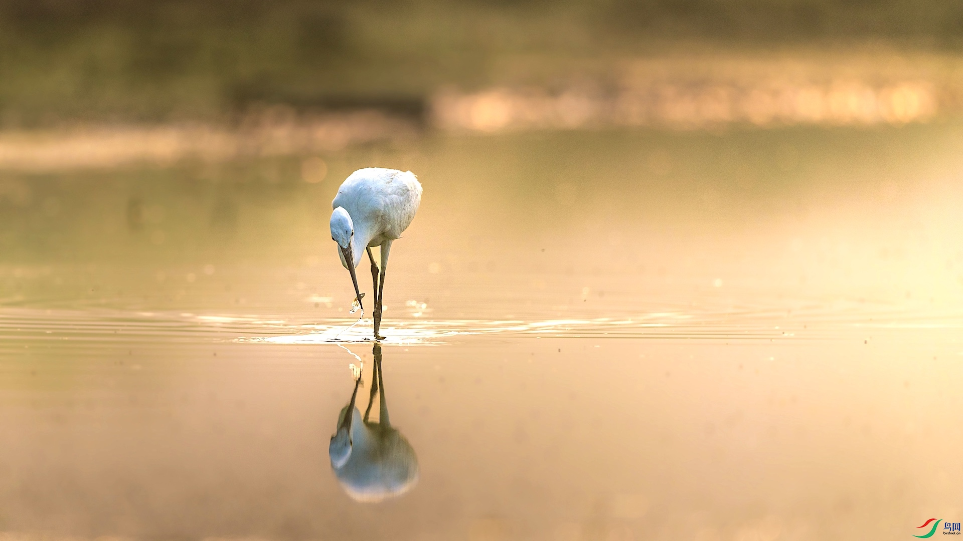 1XXL_6460 ����.jpeg