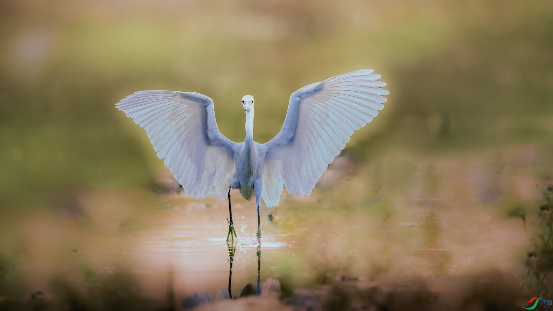 1XXL_7032-����ǿ-NR ���� 2.jpeg