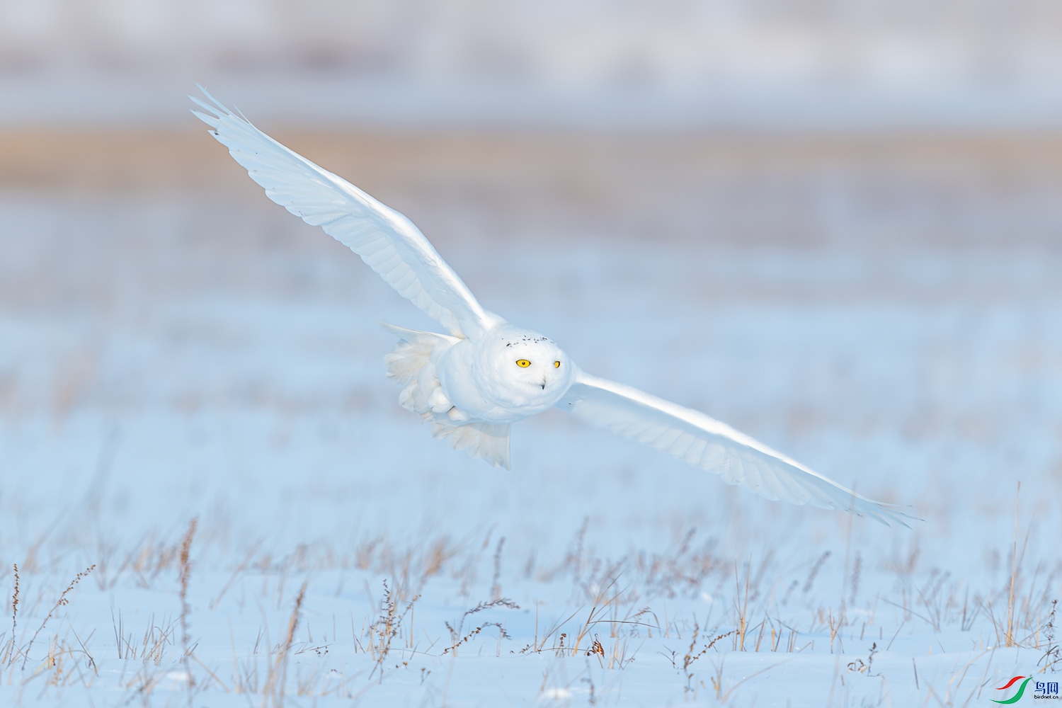 DSC_1475.jpg
