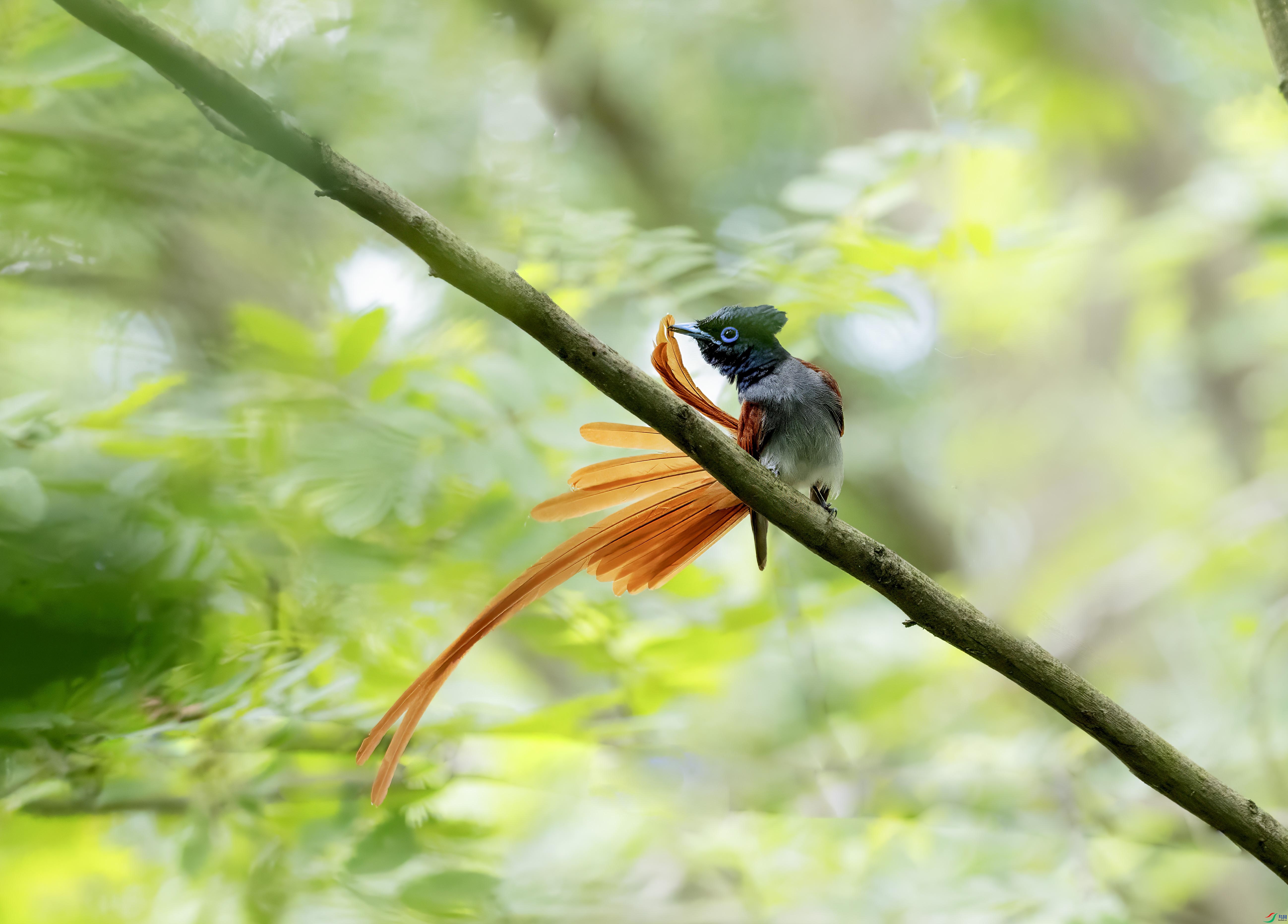 C87A0319 ���� 2.jpg