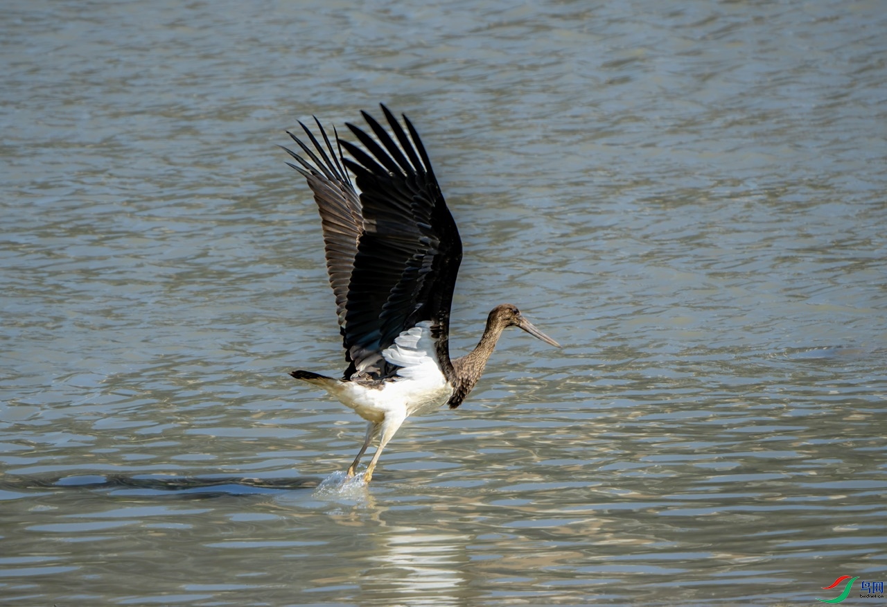 DSC02244-����ǿ ����.jpeg