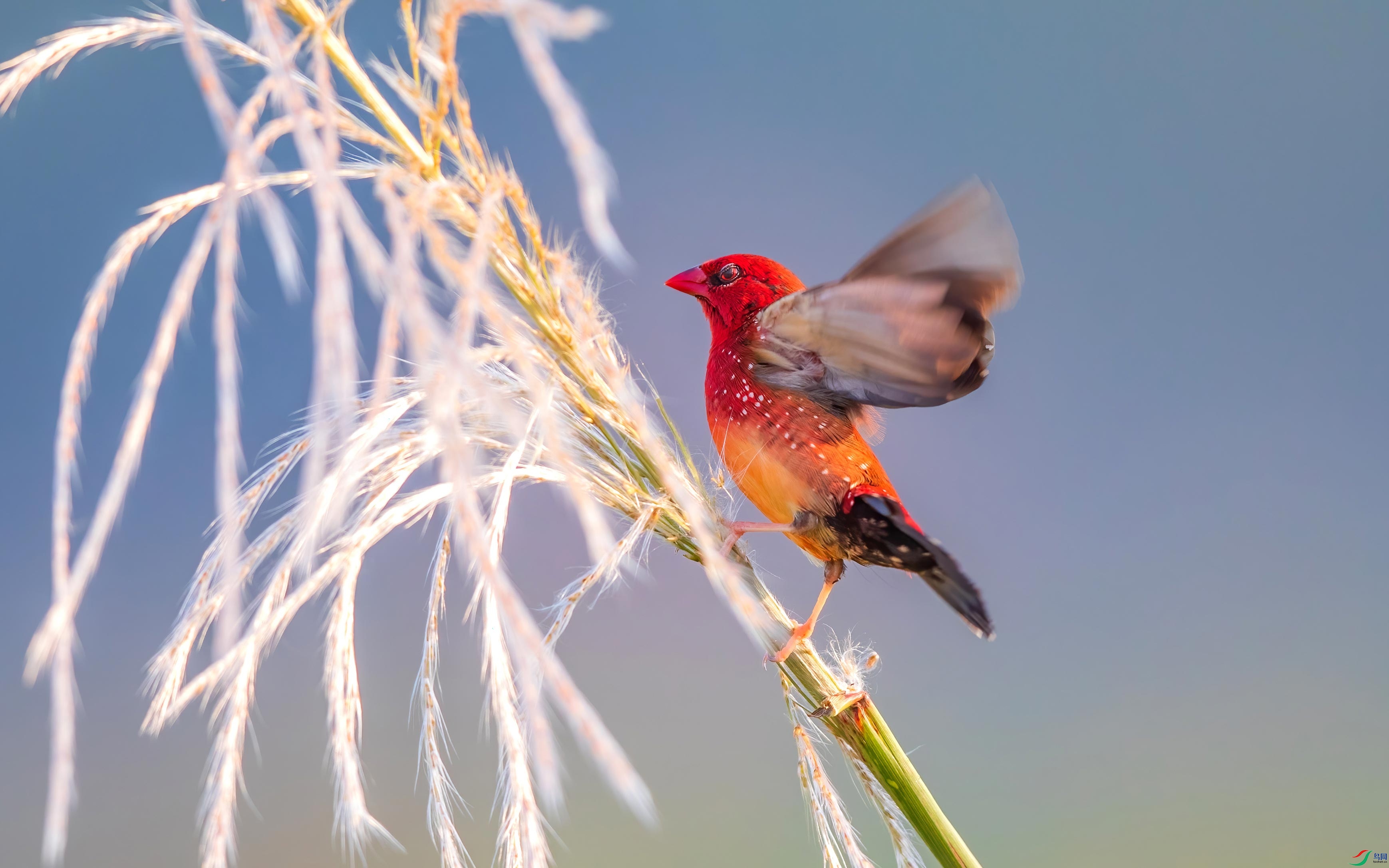 4A0A7644-����-DeNoiseAI-standard.jpg