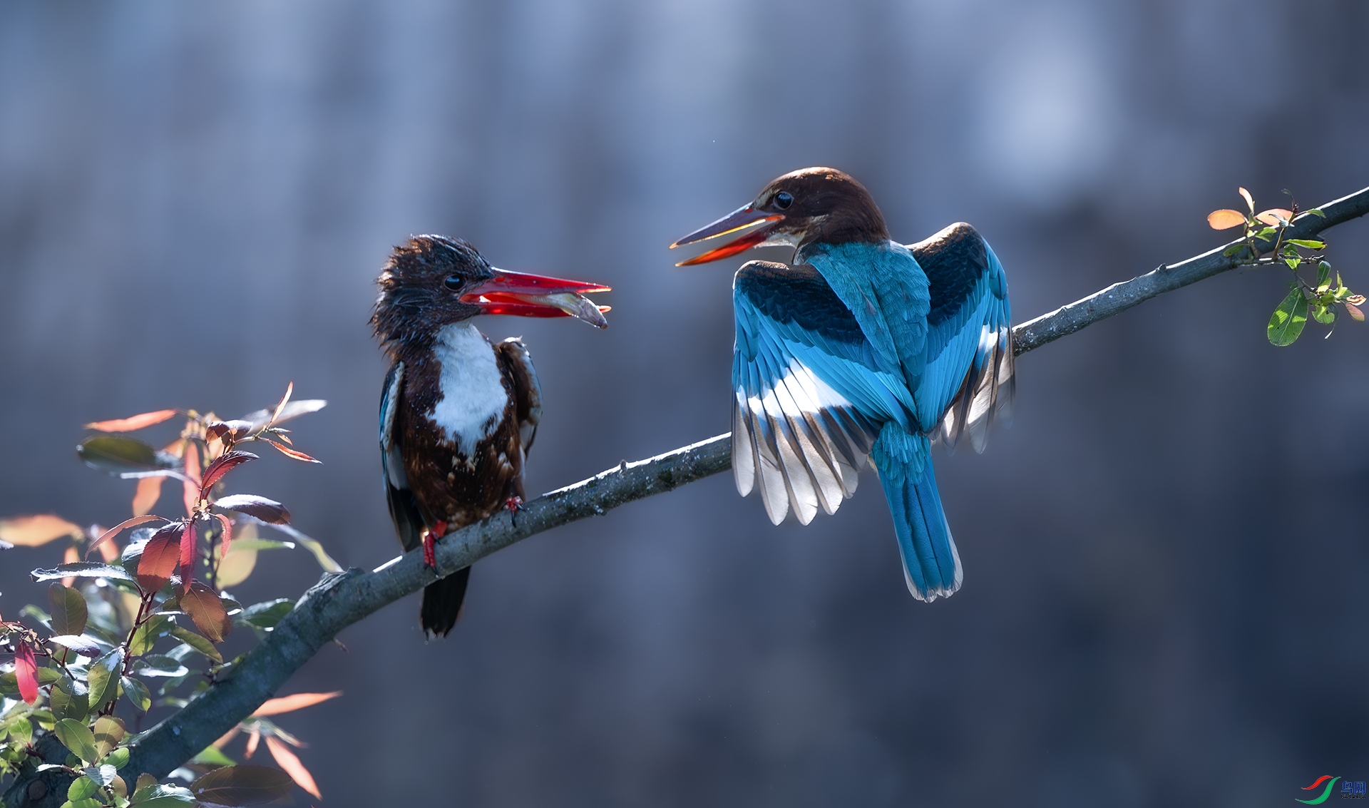 ����DSC_5898.jpg