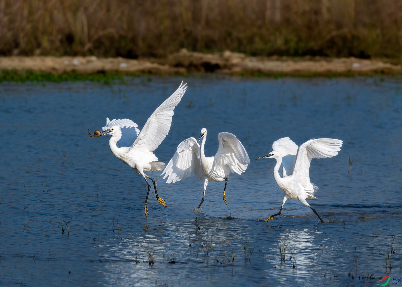 DSC_5552.jpg1.jpg
