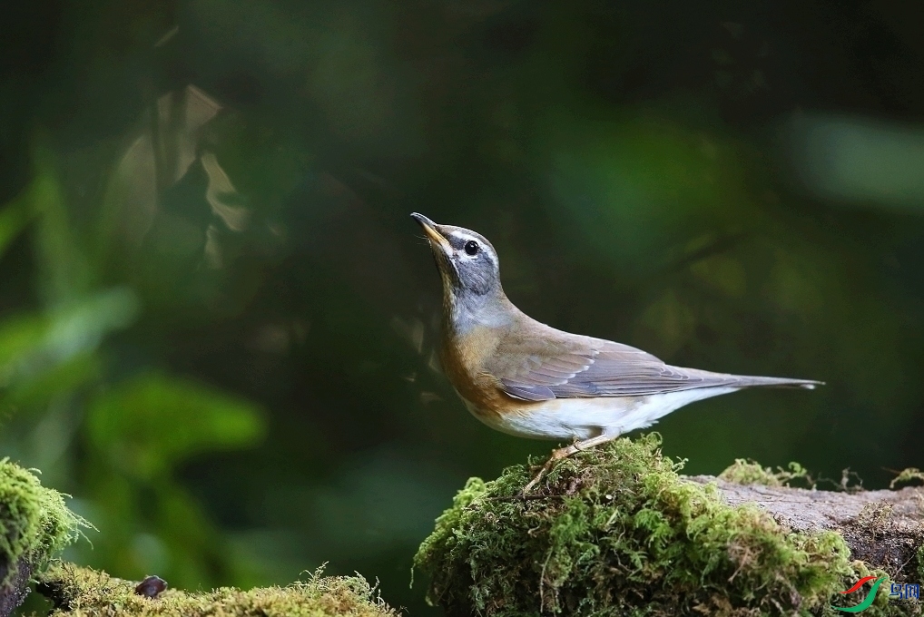 ���� IMGL9557.JPG