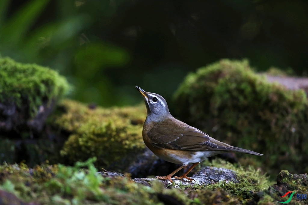 ���� IMGL9576.JPG