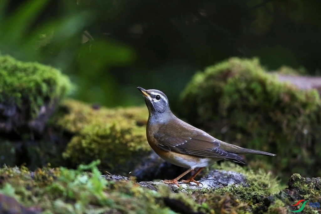 ���� IMGL9580.JPG