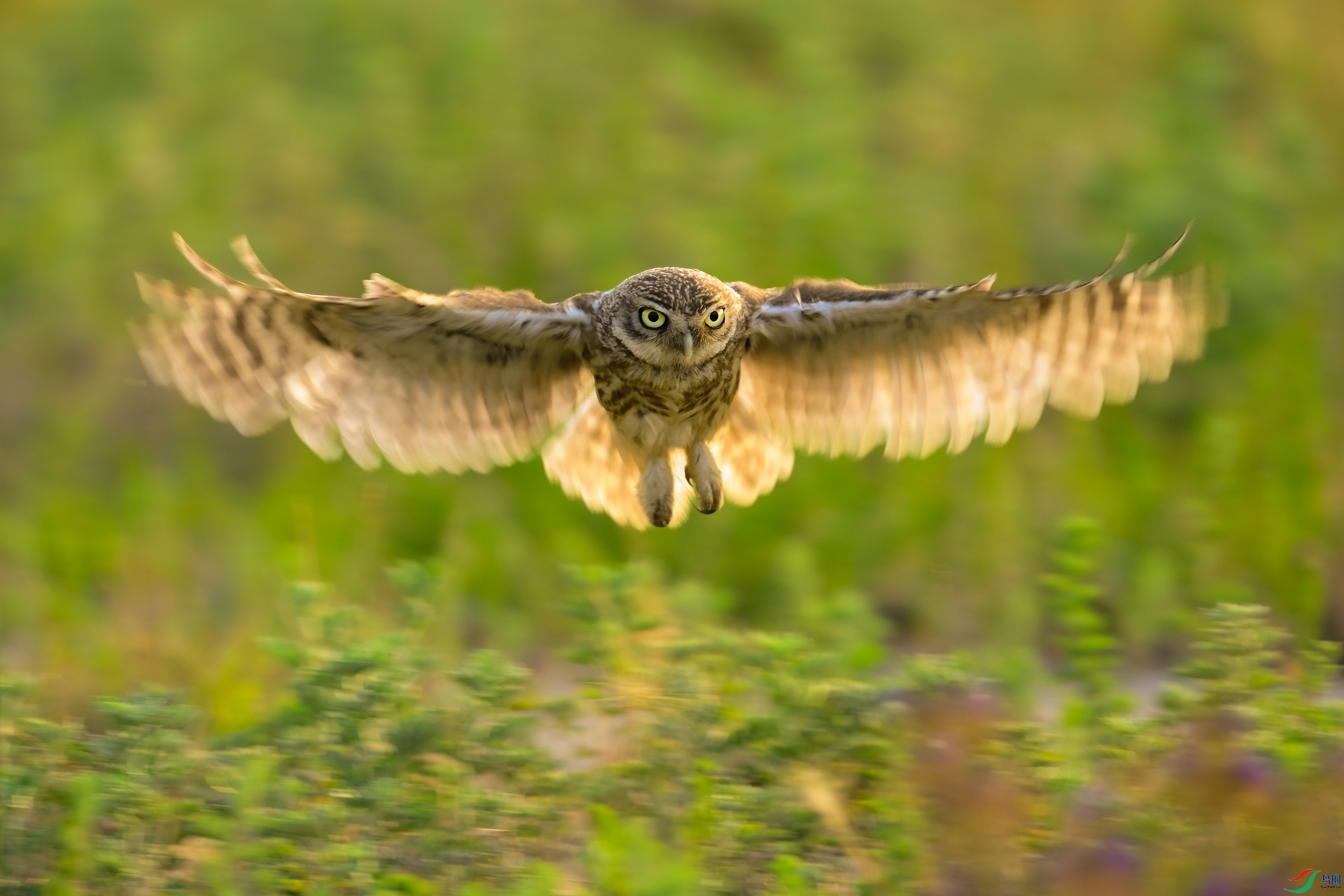 _DSC7112dl.jpg