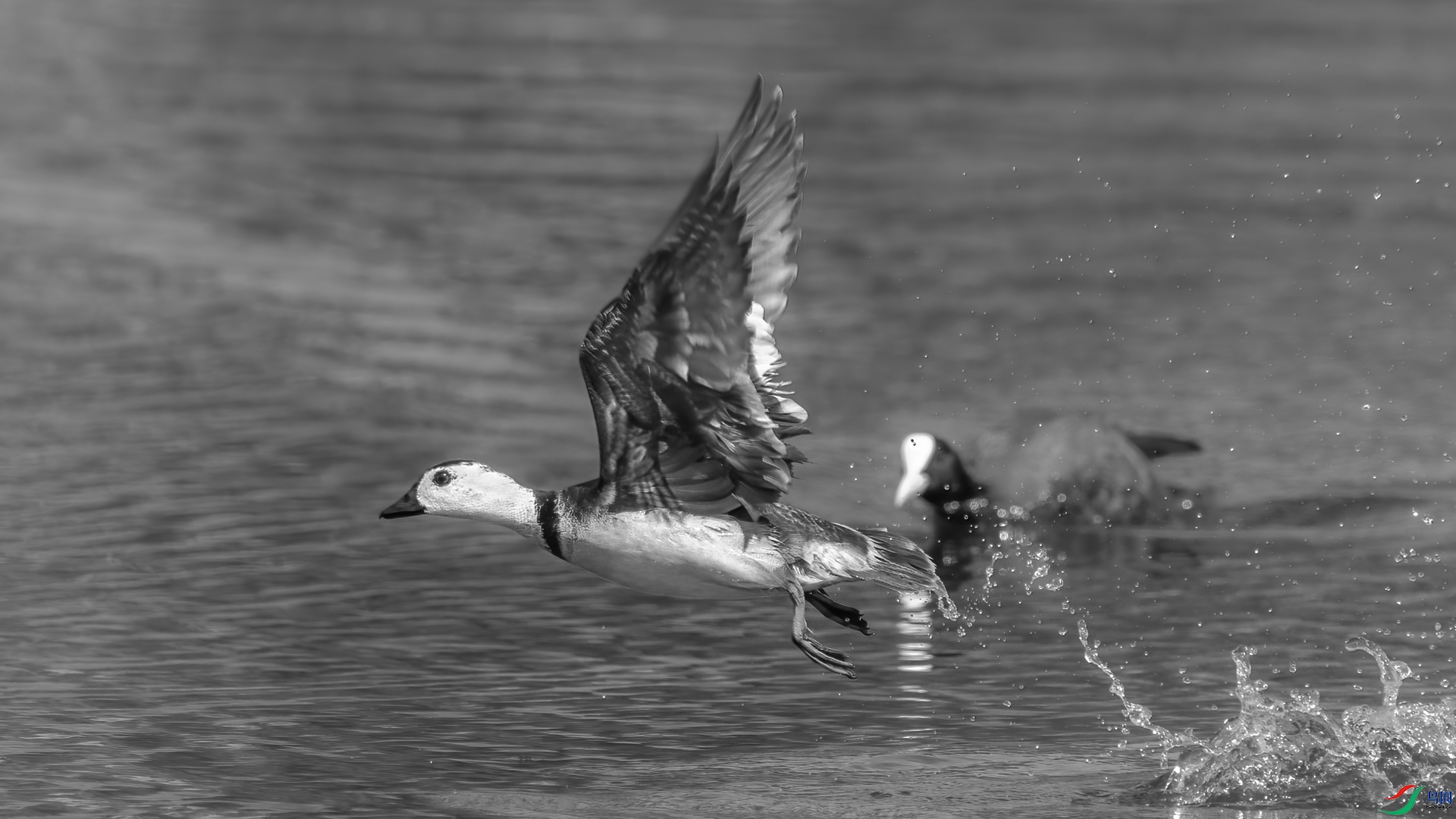 EV3W9564-�༭ (2).jpg