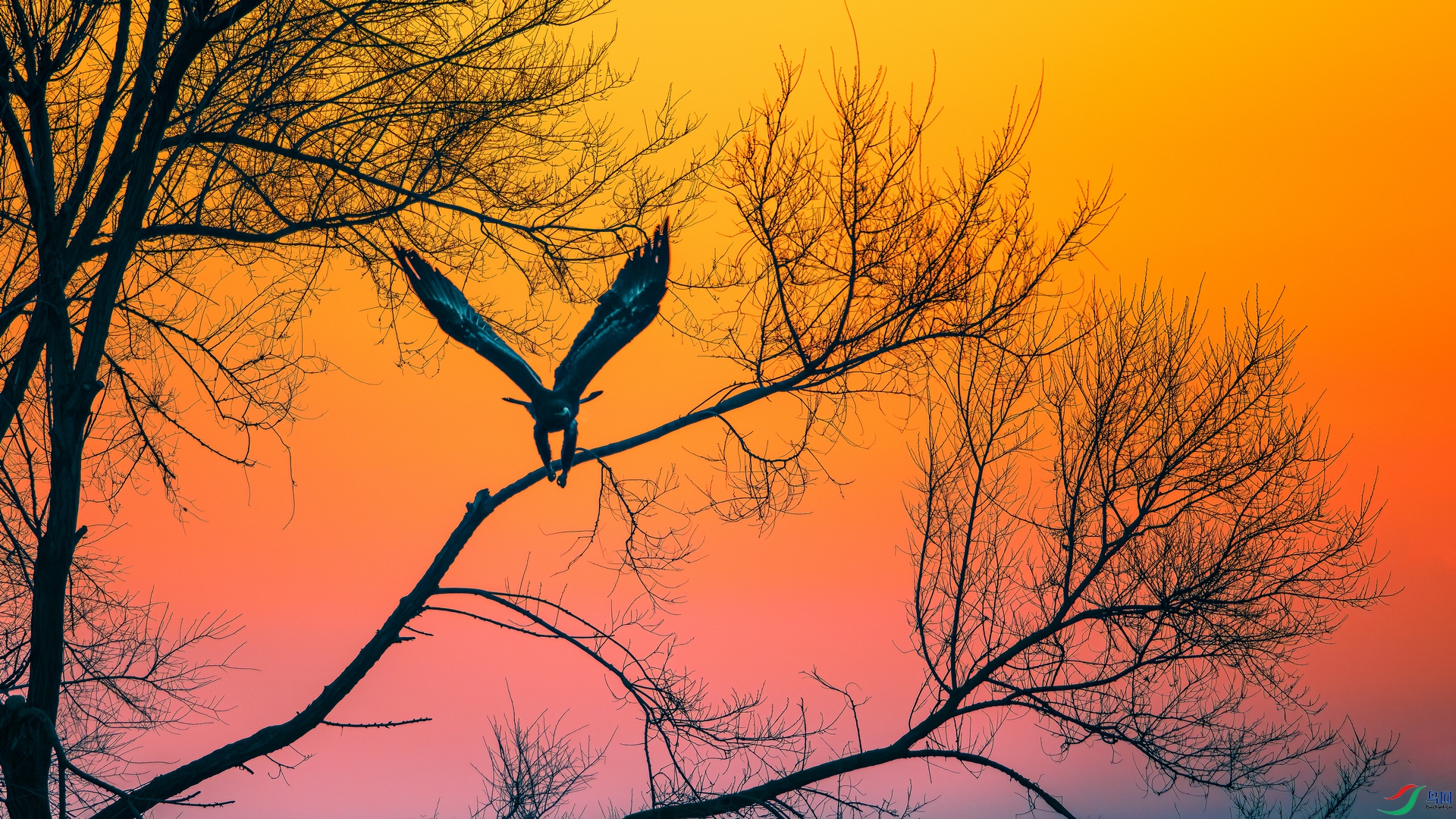 ��Ƭ_DSC1405 ����.jpg