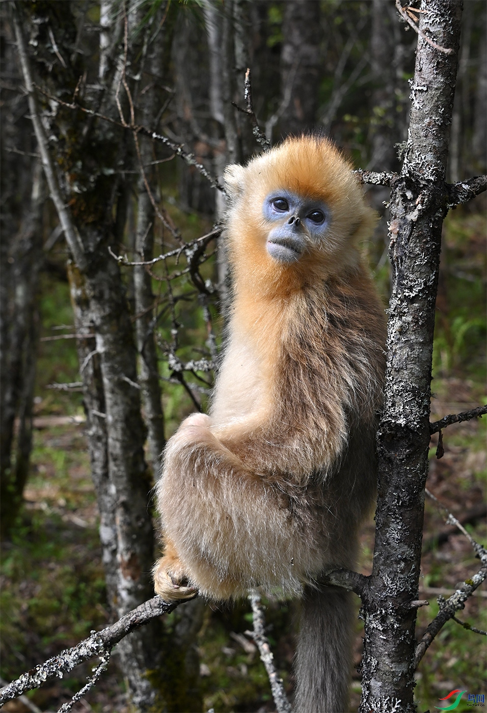 DSC_2074.jpg