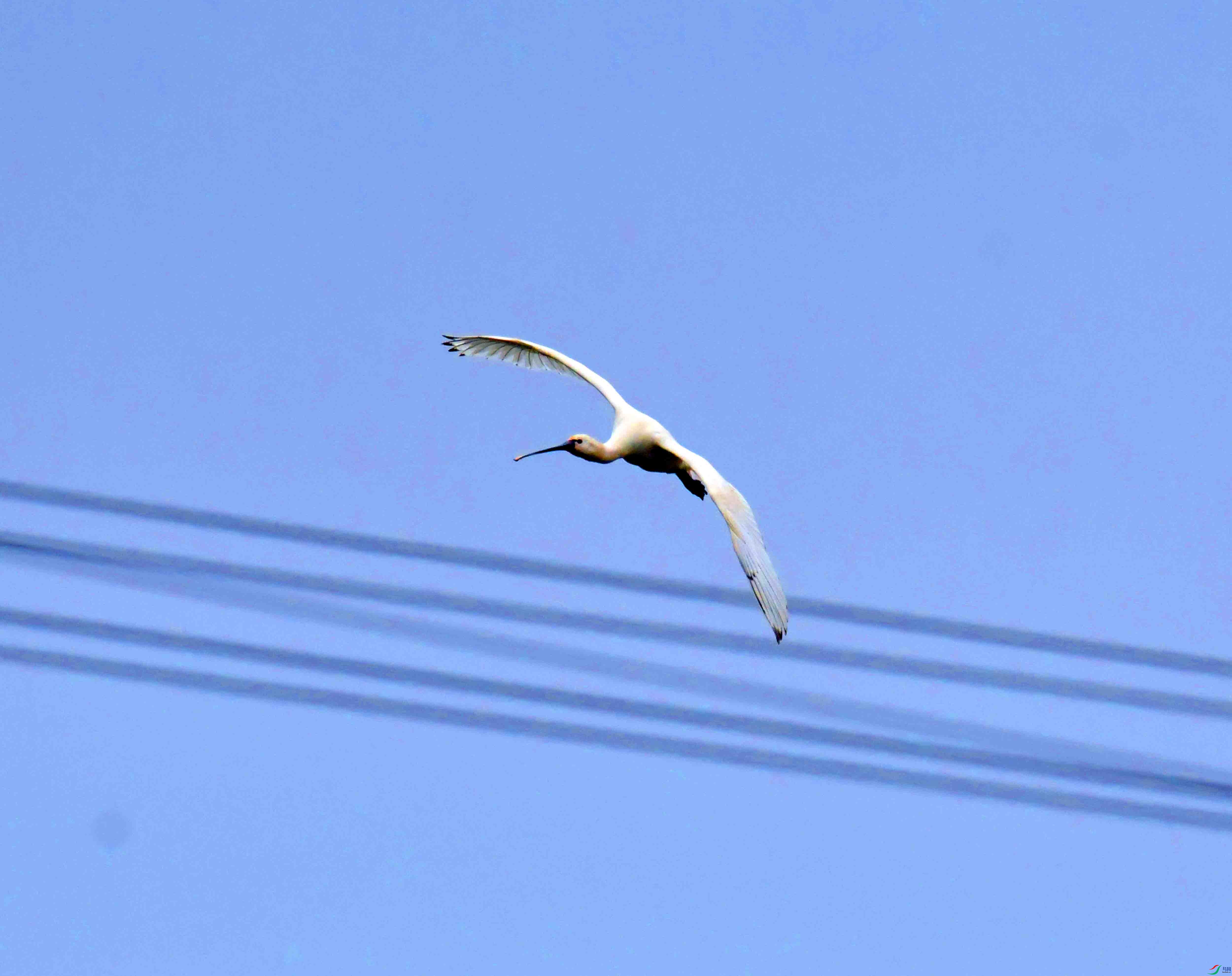 DSC_0006.JPG