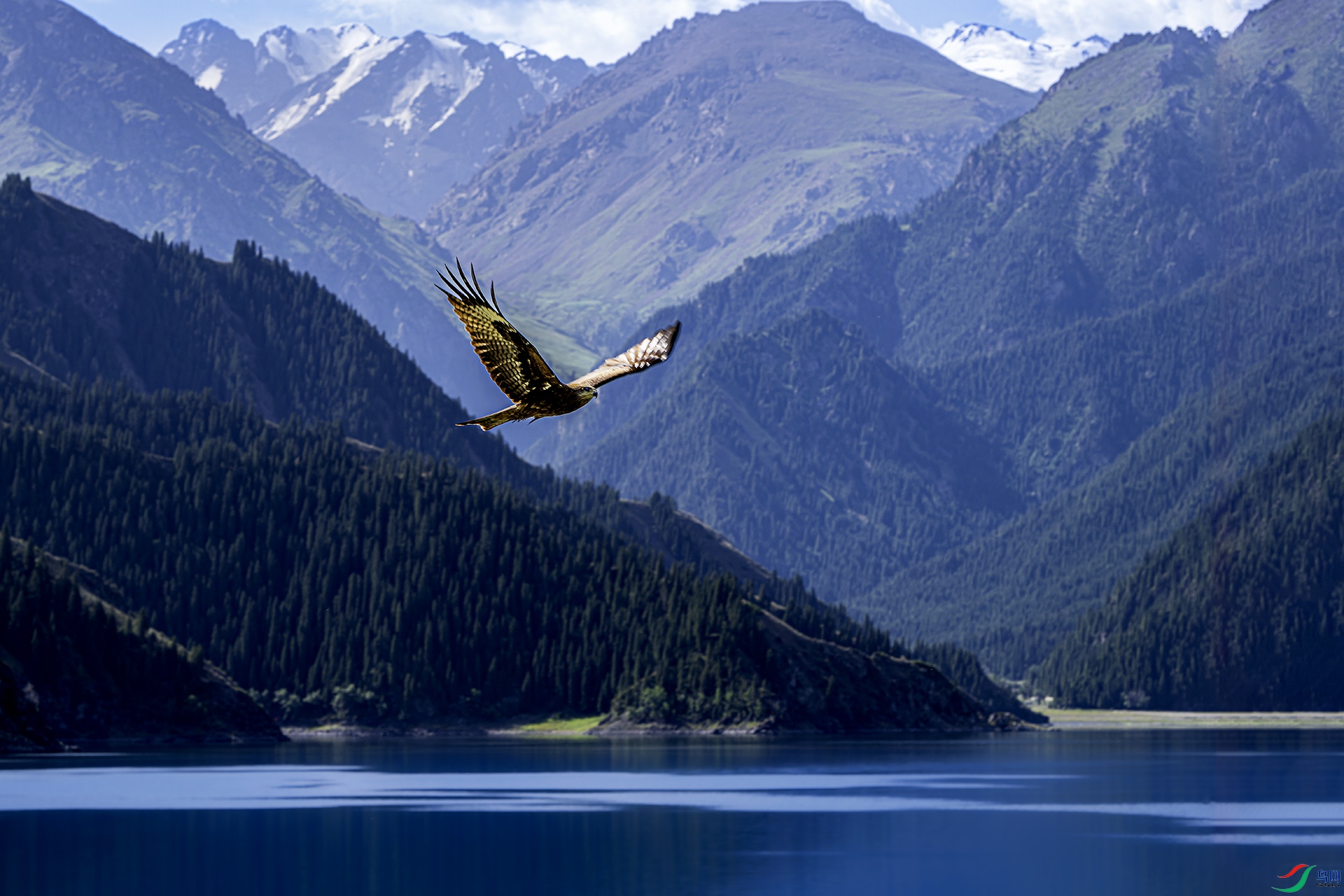 _CYG0783-NEF_DxO_DeepPRIME ����11.jpg