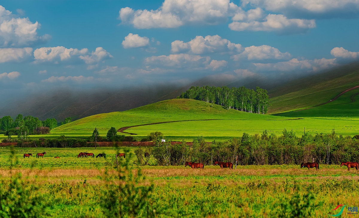 _DSC7750-DeNoiseAI-clear.jpg