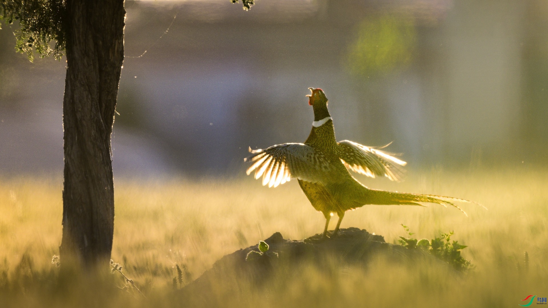 1_DSC8724 ����.jpeg