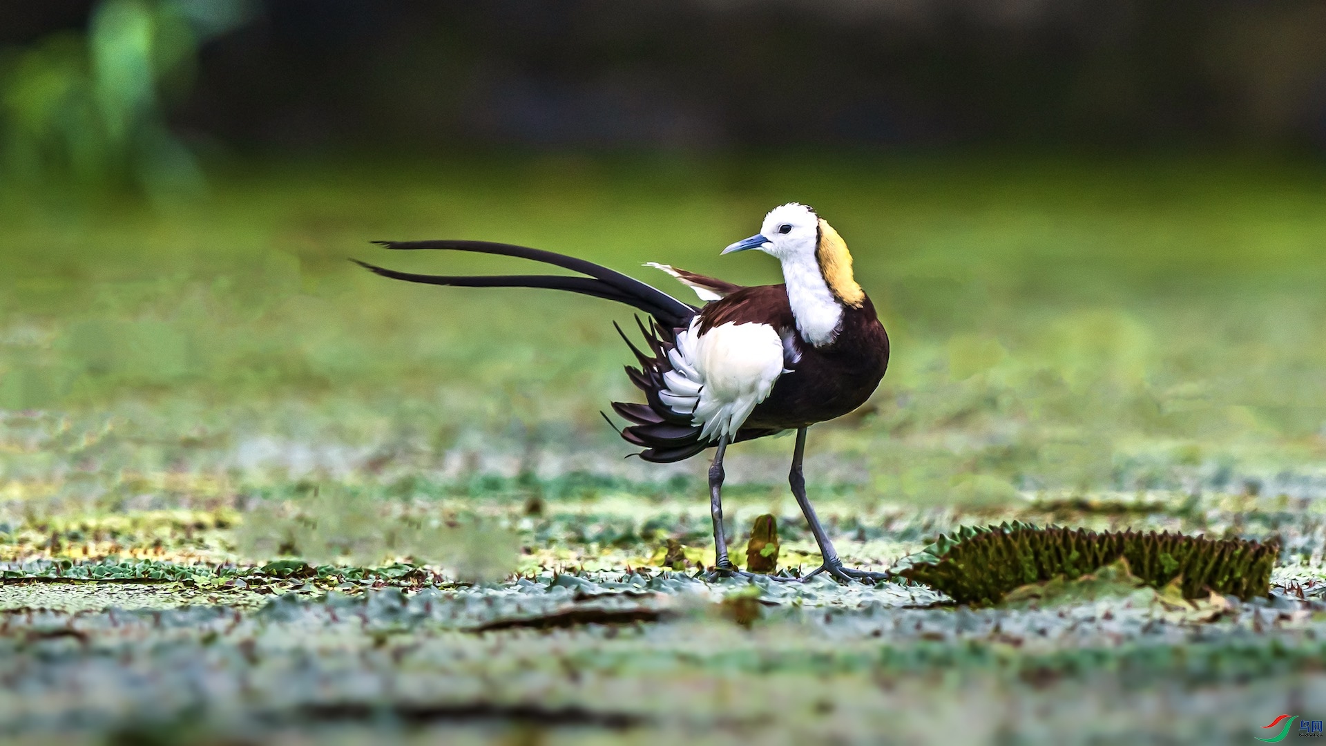 1-4 ����.jpeg