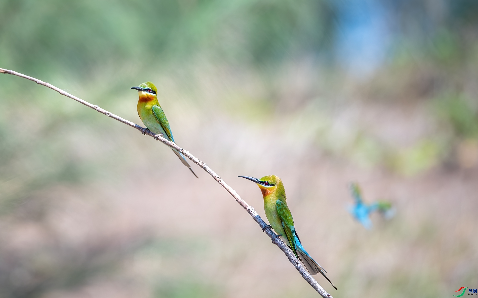 DSC_5912-1.jpg
