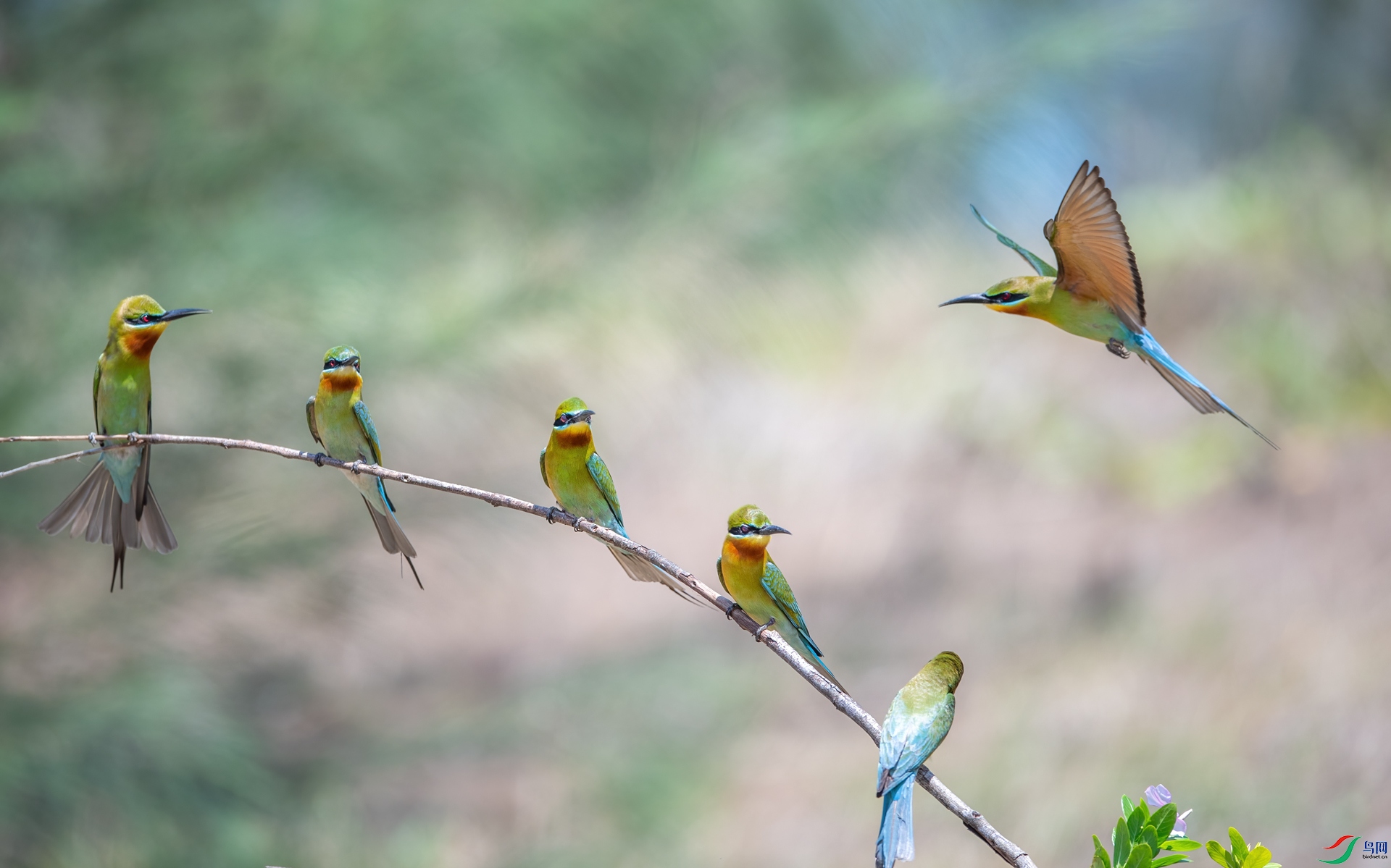 DSC_6115-1.jpg