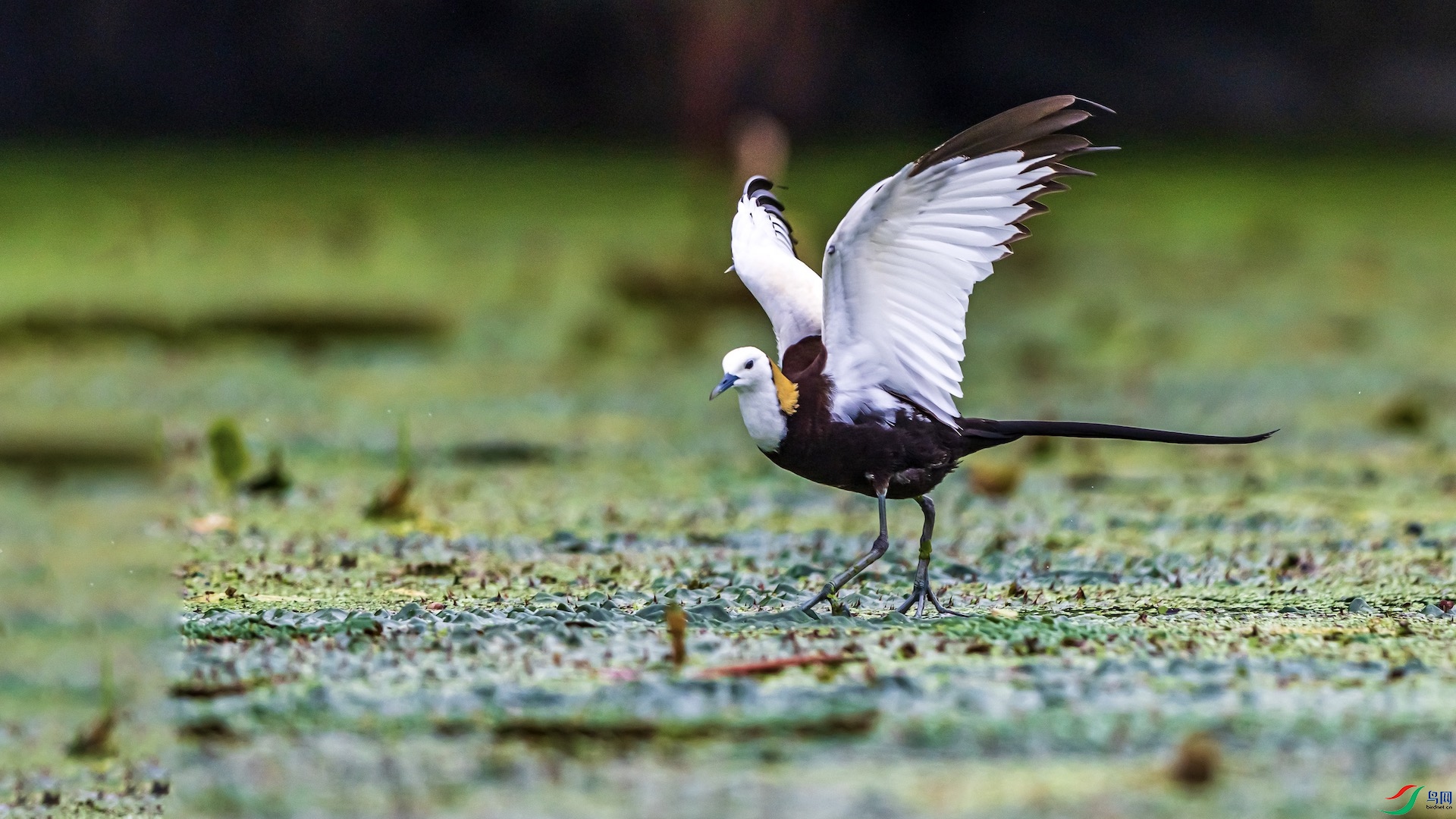 1-6 ����.jpeg