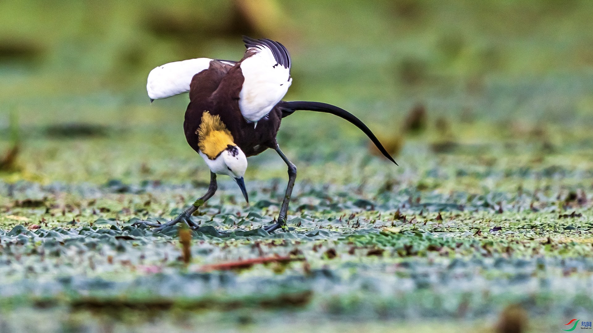 1-8 ����.jpeg