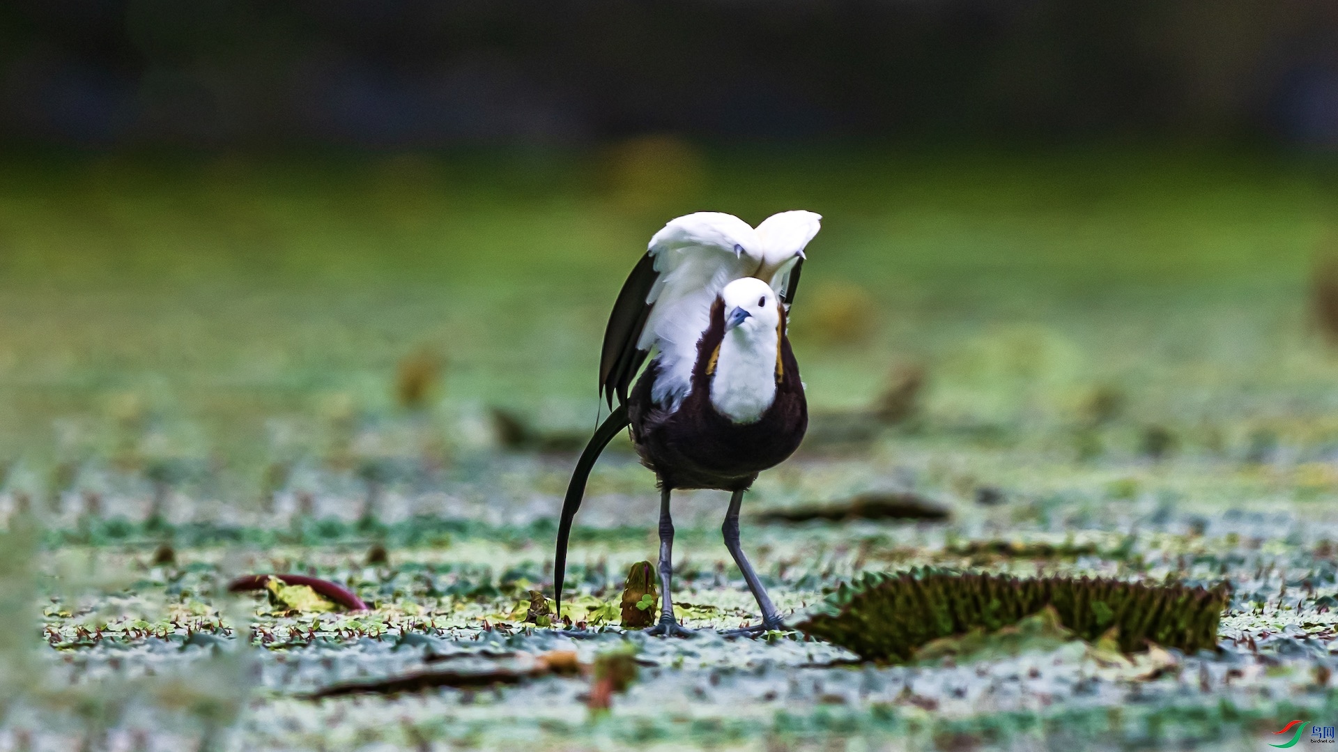 1-87 ����.jpeg