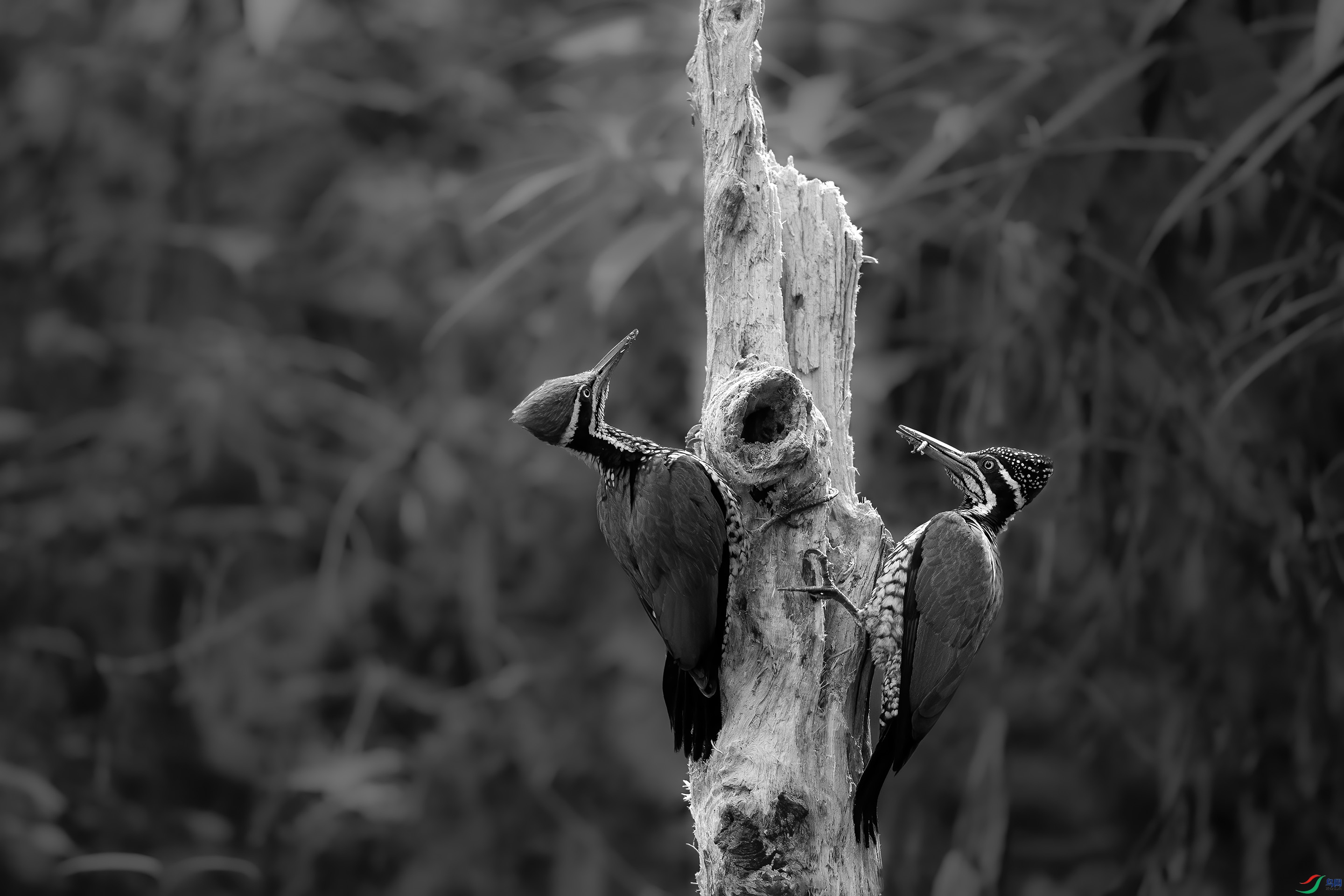 AD1I9294.jpg0 (2).jpg