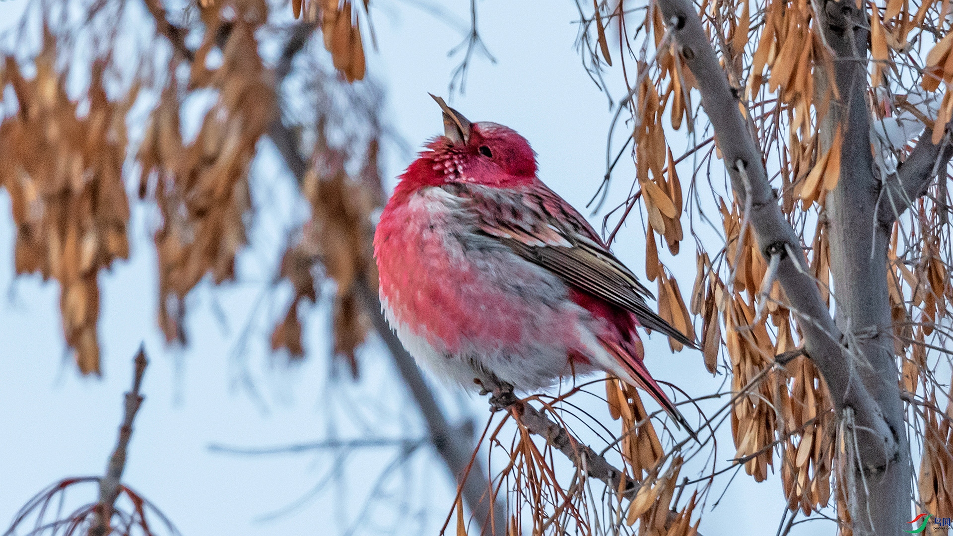 DSC_3919.jpg