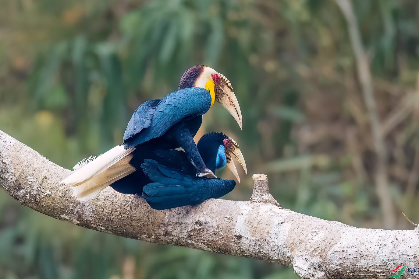 DSC_8095.jpg