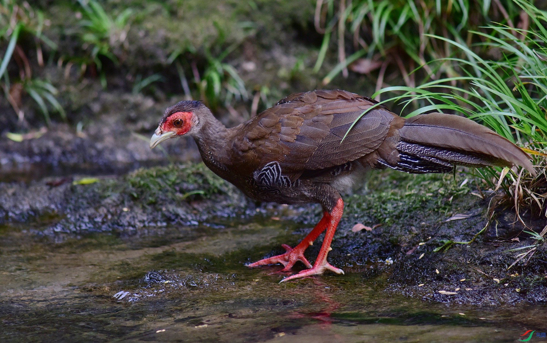 D8I_2116.jpg