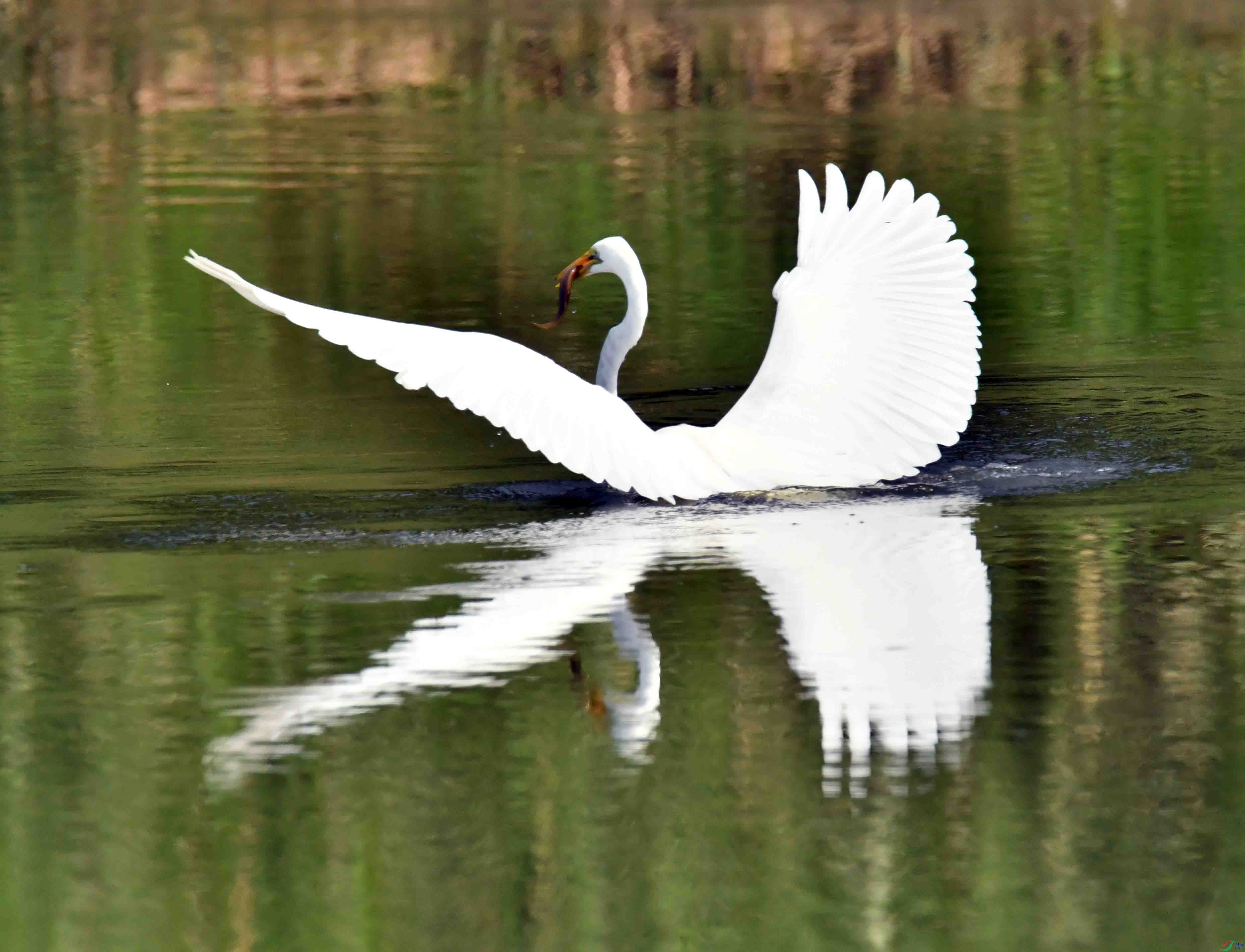 DSC_0574.JPG
