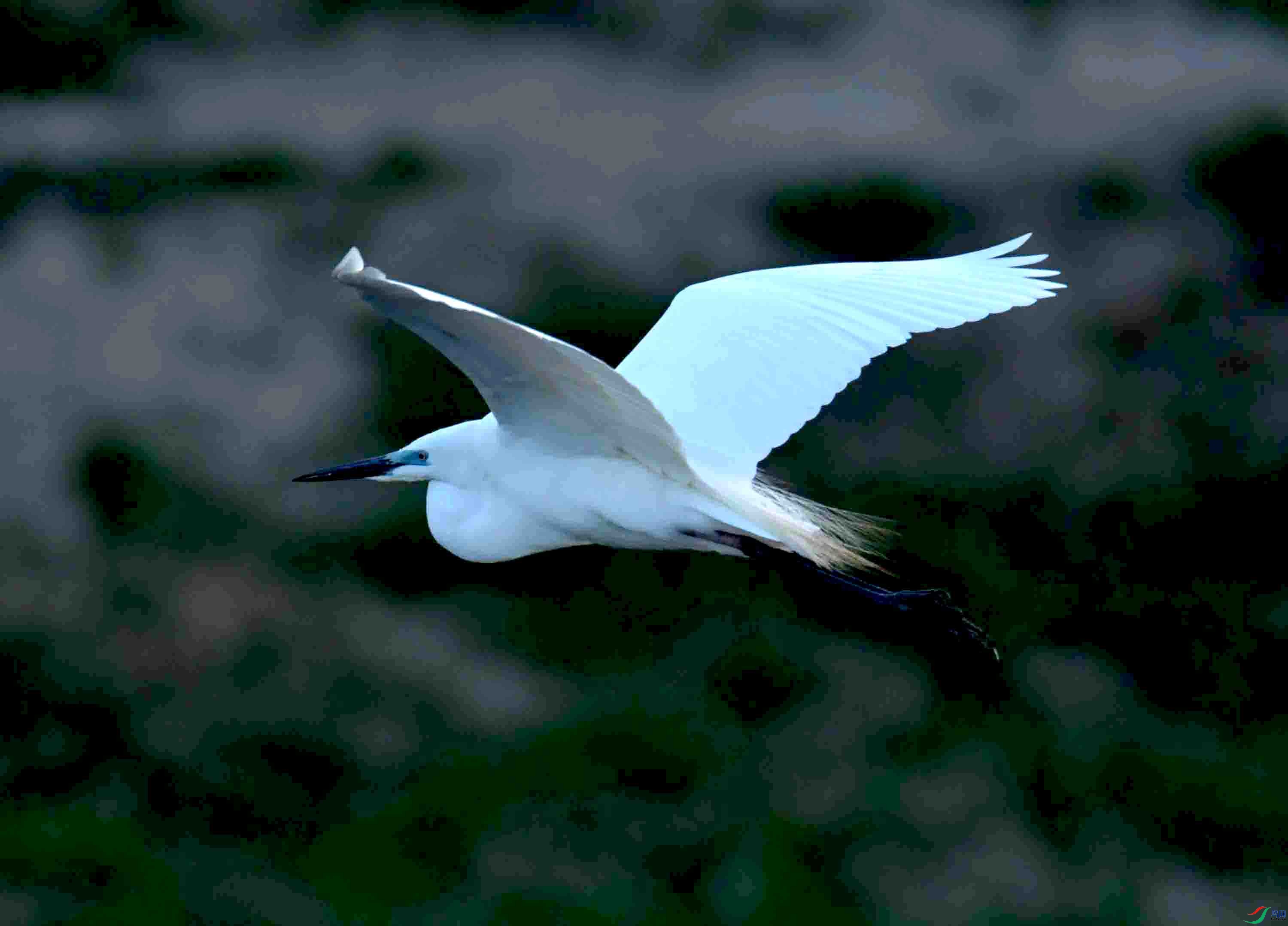 DSC_7259.JPG