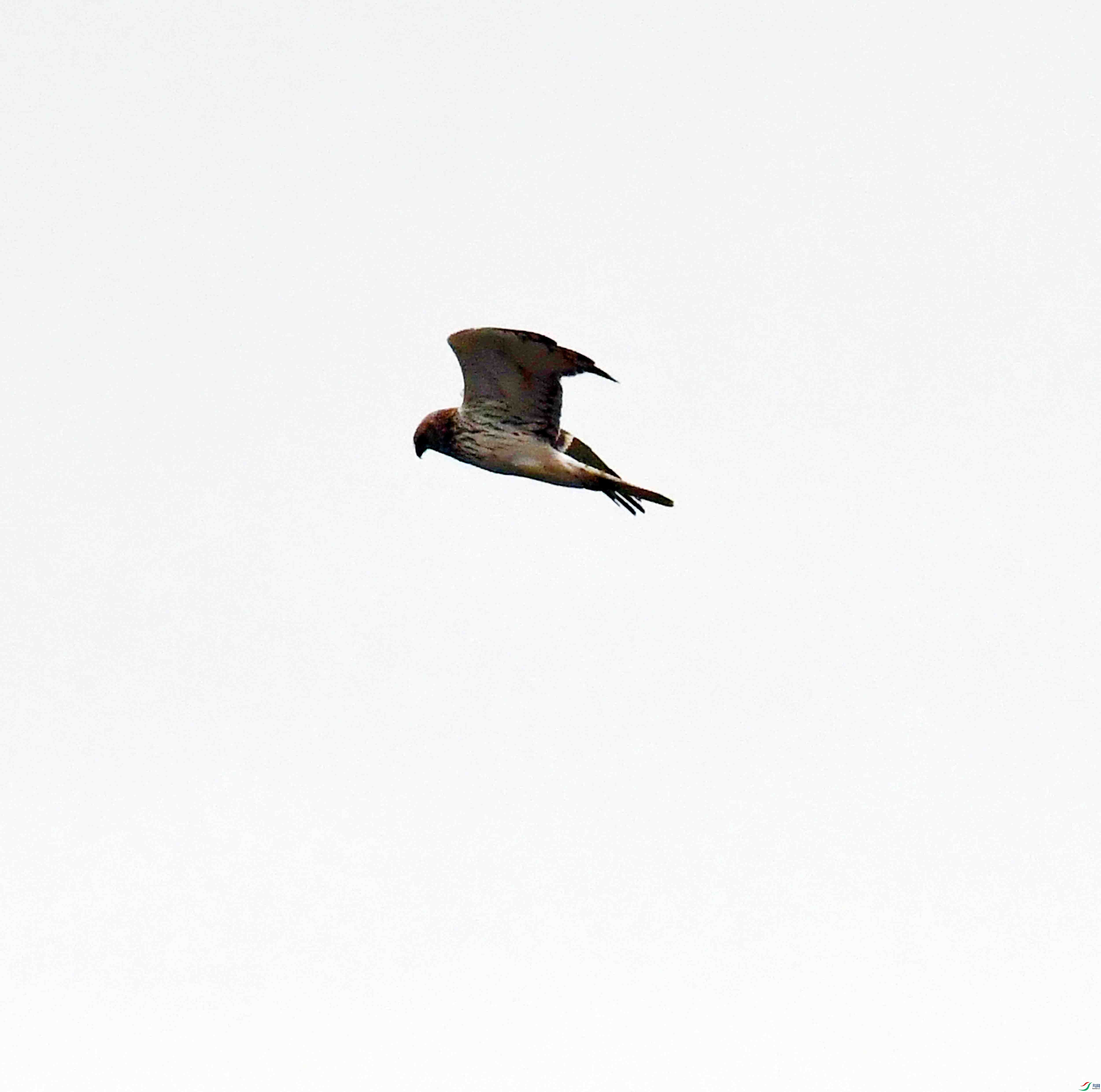 DSC_9982.JPG