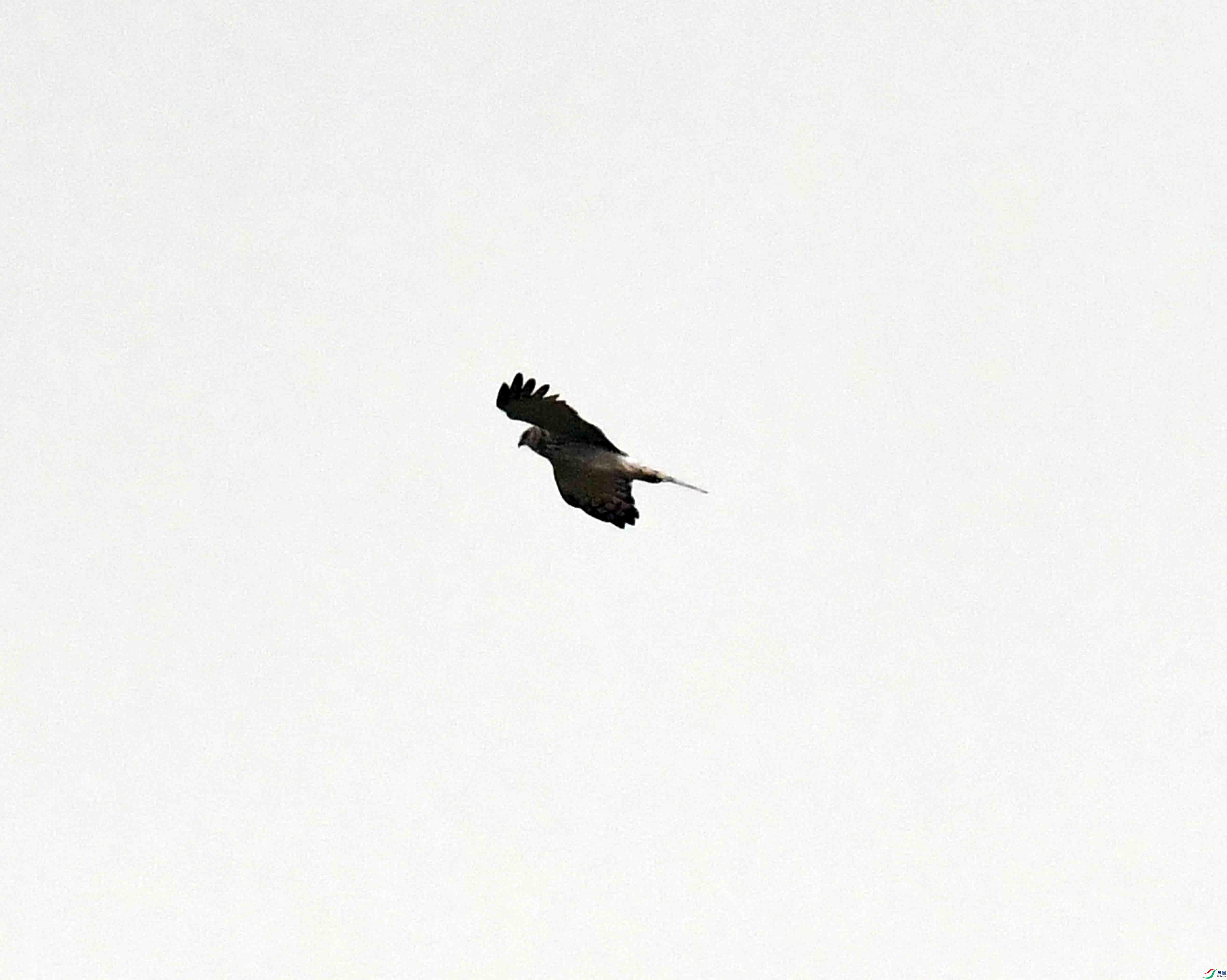 DSC_9991.JPG